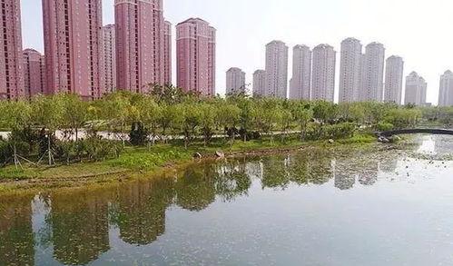 天津北辰区最新爆料,揭秘区域发展新动向与民生热点  第1张